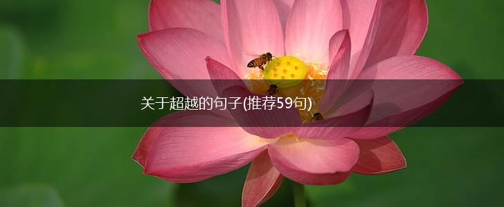 关于超越的句子(推荐59句),第1张