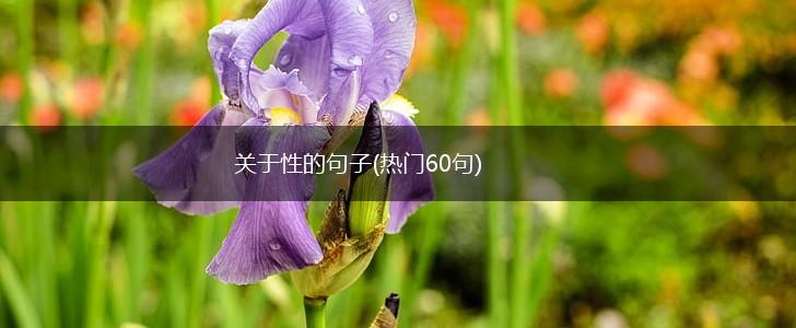 关于性的句子(热门60句),第1张