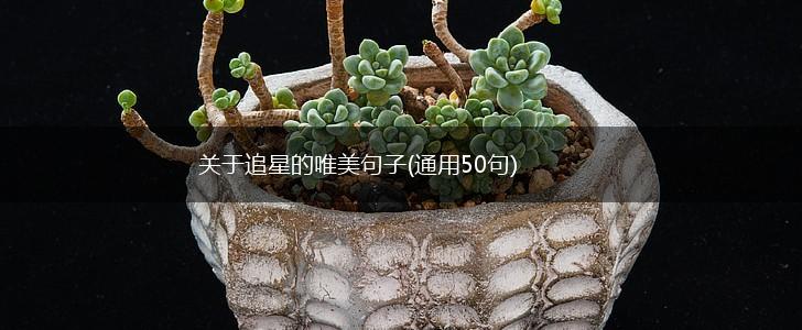 关于追星的唯美句子(通用50句),第1张