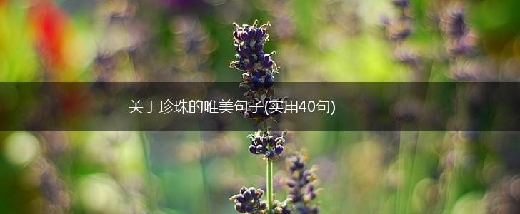 关于珍珠的唯美句子(实用40句),第1张