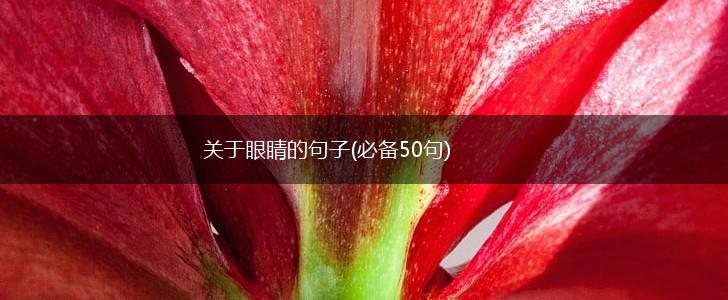 关于眼睛的句子(必备50句),第1张