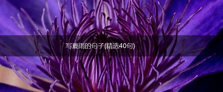 写夏雨的句子(精选40句),第1张