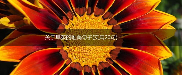 关于早茶的唯美句子(实用20句),第1张