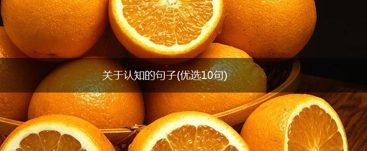 关于认知的句子(优选10句),第1张