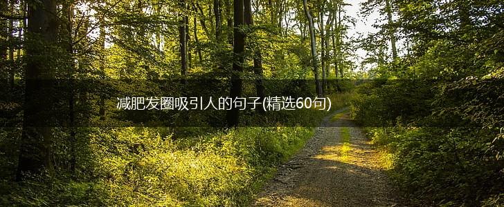 减肥发圈吸引人的句子(精选60句),第1张