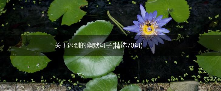 关于迟到的幽默句子(精选70句),第1张