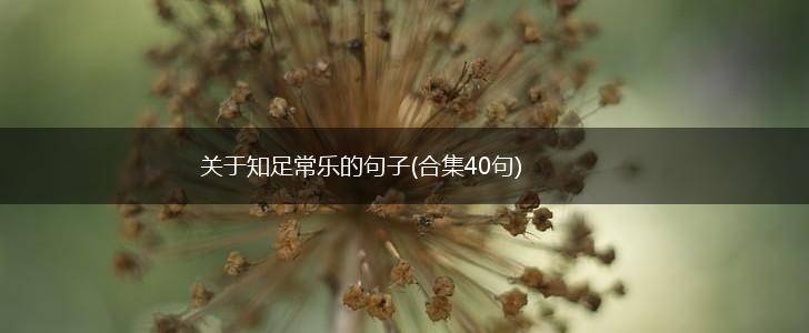 关于知足常乐的句子(合集40句),第1张