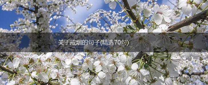 关于戒烟的句子(精选70句),第1张