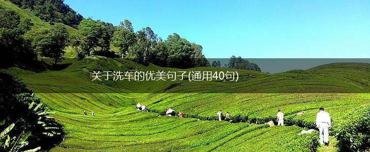关于洗车的优美句子(通用40句),第1张
