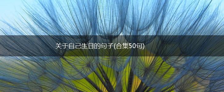 关于自己生日的句子(合集50句),第1张