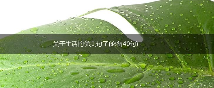 关于生活的优美句子(必备40句),第1张