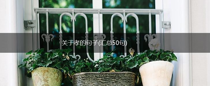 关于孝的句子(汇总50句),第1张