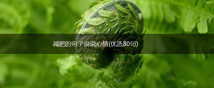 减肥的句子说说心情(优选80句),第1张