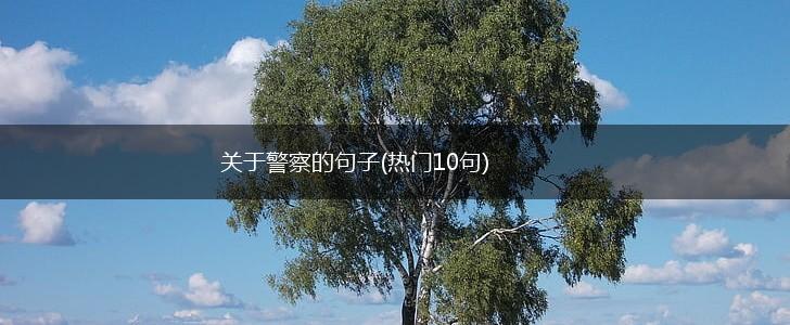 关于警察的句子(热门10句),第1张