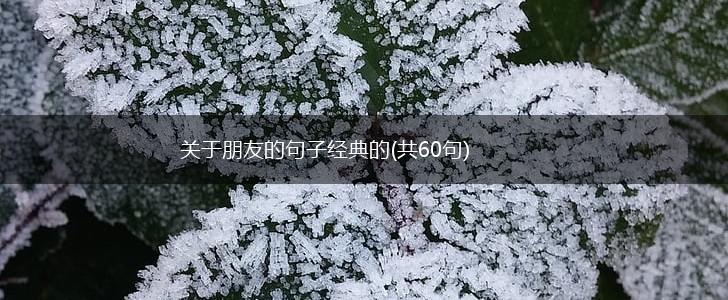 关于朋友的句子经典的(共60句),第1张