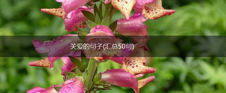 关爱的句子(汇总50句),第1张