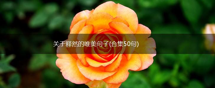 关于释然的唯美句子(合集50句),第1张