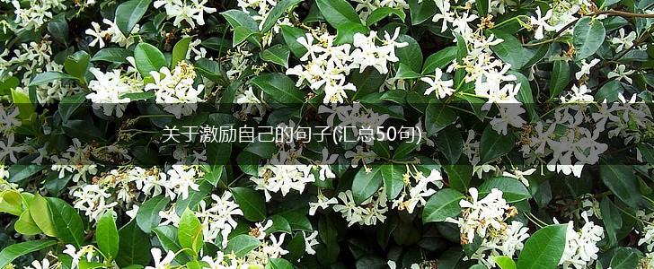 关于激励自己的句子(汇总50句),第1张