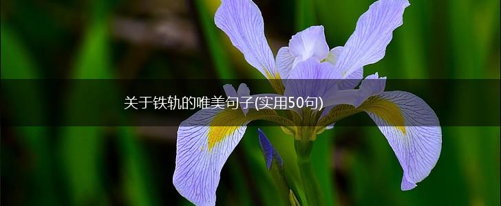 关于铁轨的唯美句子(实用50句),第1张