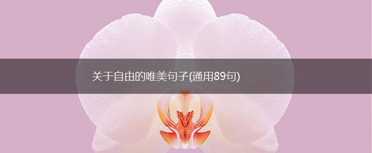 关于自由的唯美句子(通用89句),第1张