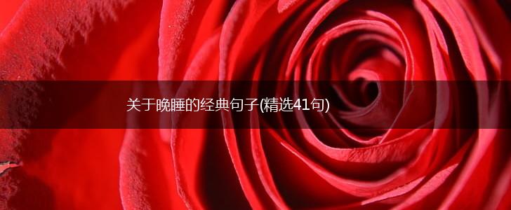 关于晚睡的经典句子(精选41句),第1张