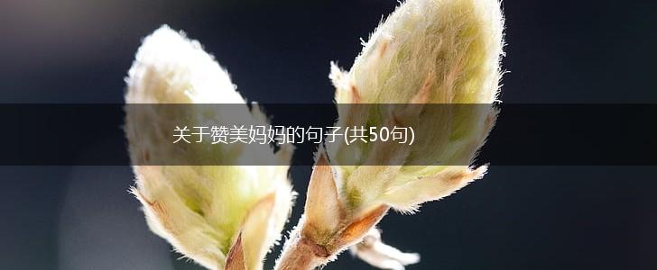 关于赞美妈妈的句子(共50句),第1张