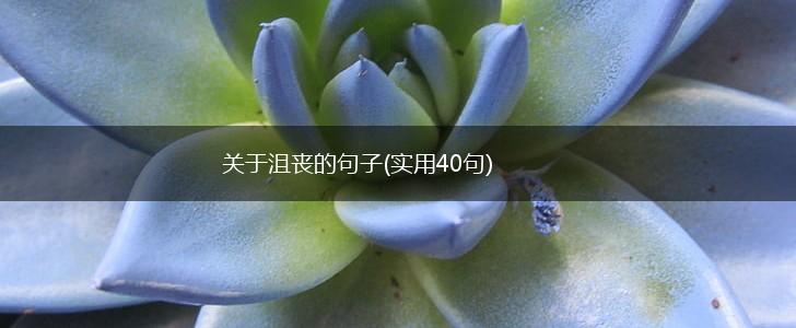 关于沮丧的句子(实用40句),第1张