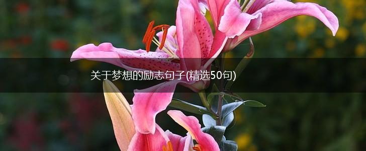 关于梦想的励志句子(精选50句),第1张