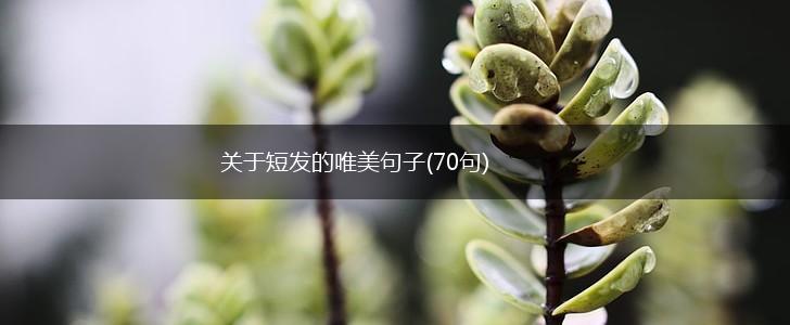 关于短发的唯美句子(70句),第1张