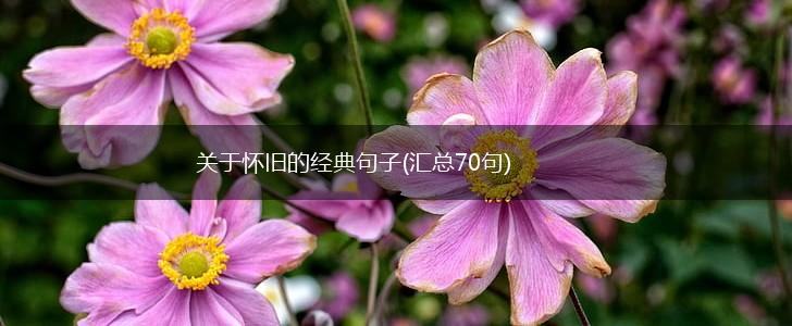 关于怀旧的经典句子(汇总70句),第1张