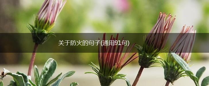 关于防火的句子(通用91句),第1张