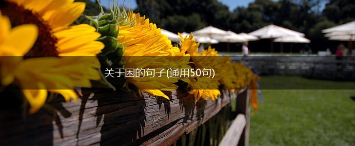 关于困的句子(通用50句),第1张