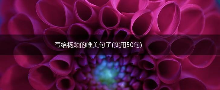写给杨颖的唯美句子(实用50句),第1张