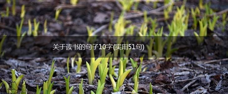 关于读书的句子10字(实用51句),第1张
