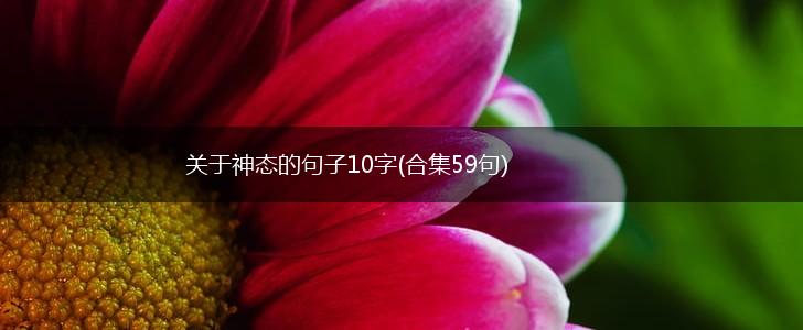 关于神态的句子10字(合集59句),第1张