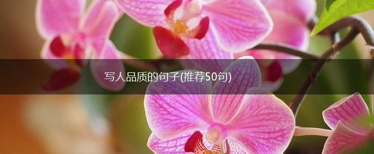 写人品质的句子(推荐50句),第1张