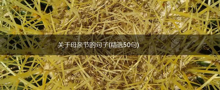 关于母亲节的句子(精选50句),第1张