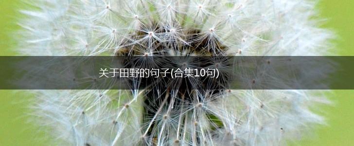关于田野的句子(合集10句),第1张