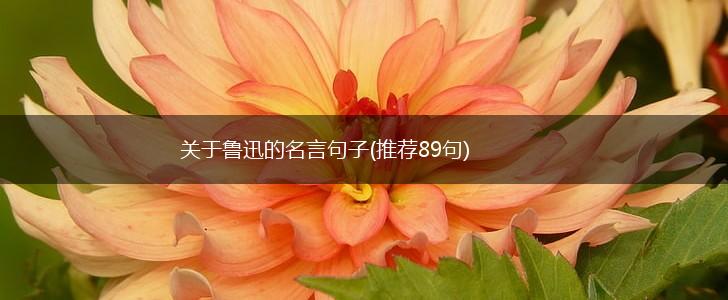 关于鲁迅的名言句子(推荐89句),第1张
