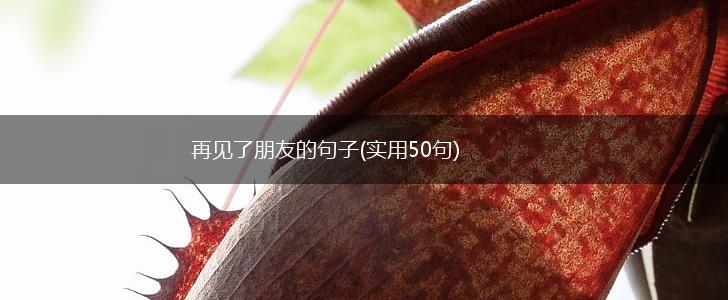 再见了朋友的句子(实用50句),第1张