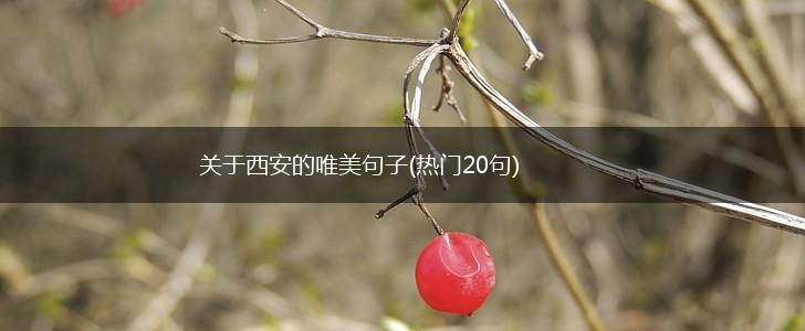 关于西安的唯美句子(热门20句),第1张