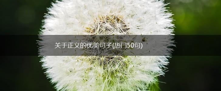 关于正义的优美句子(热门50句),第1张
