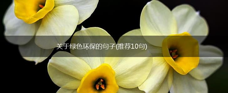 关于绿色环保的句子(推荐10句),第1张