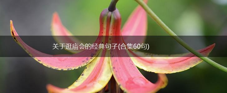 关于逛庙会的经典句子(合集60句),第1张