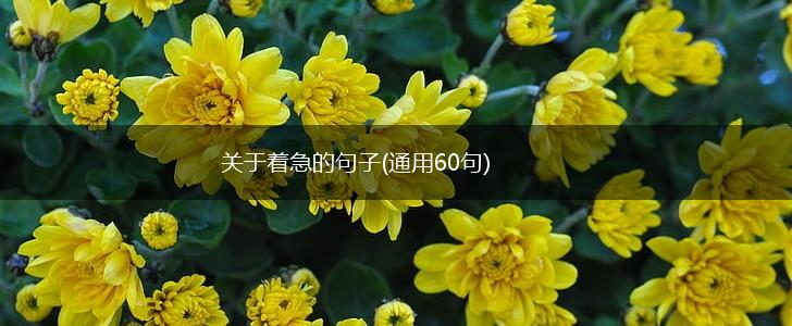 关于着急的句子(通用60句),第1张