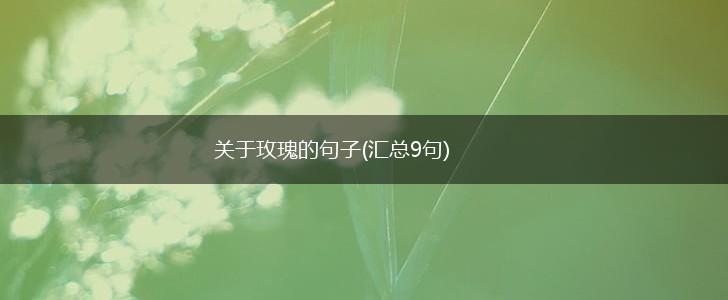 关于玫瑰的句子(汇总9句),第1张