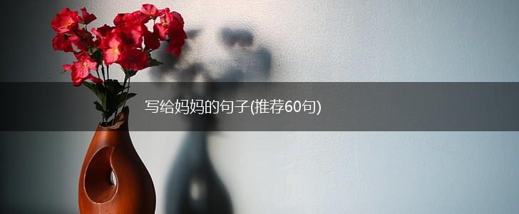 写给妈妈的句子(推荐60句),第1张