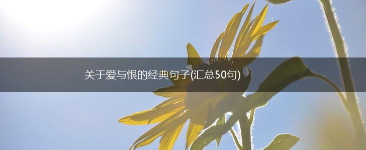 关于爱与恨的经典句子(汇总50句),第1张
