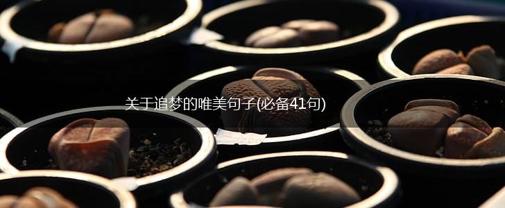 关于追梦的唯美句子(必备41句),第1张