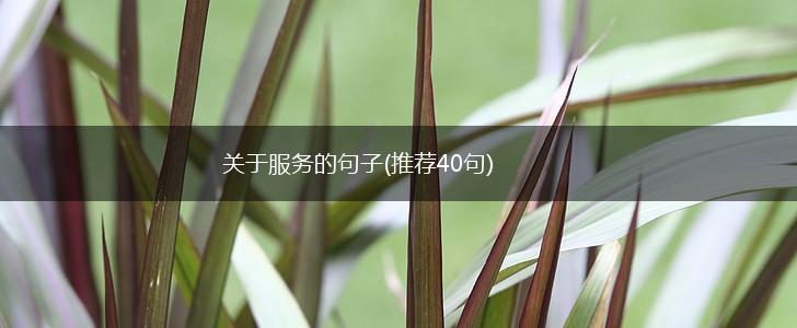 关于服务的句子(推荐40句),第1张